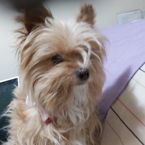 Meet your Posher, Rani